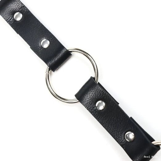 with Hook Kinky Collar EverydayUse 5853 and Anal Leash 0201